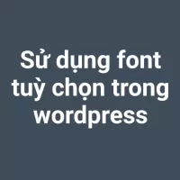 Các sử dụng font tuỳ chọn vào wordpress