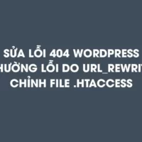 Hướng dẫn xử lý lỗi 404 not found WordPress
