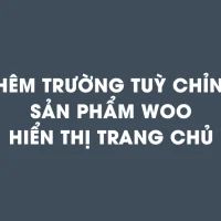 Thêm trường tuỳ chỉnh sản phẩm hiển thị ra trang chủ wordpress